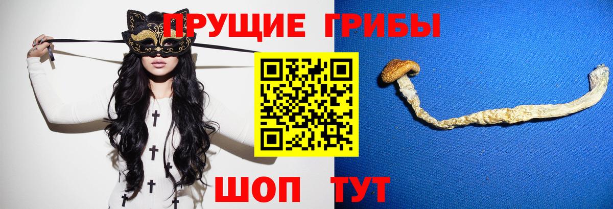 Псилоцибиновые грибы GOLDEN TEACHER Приморско-Ахтарск