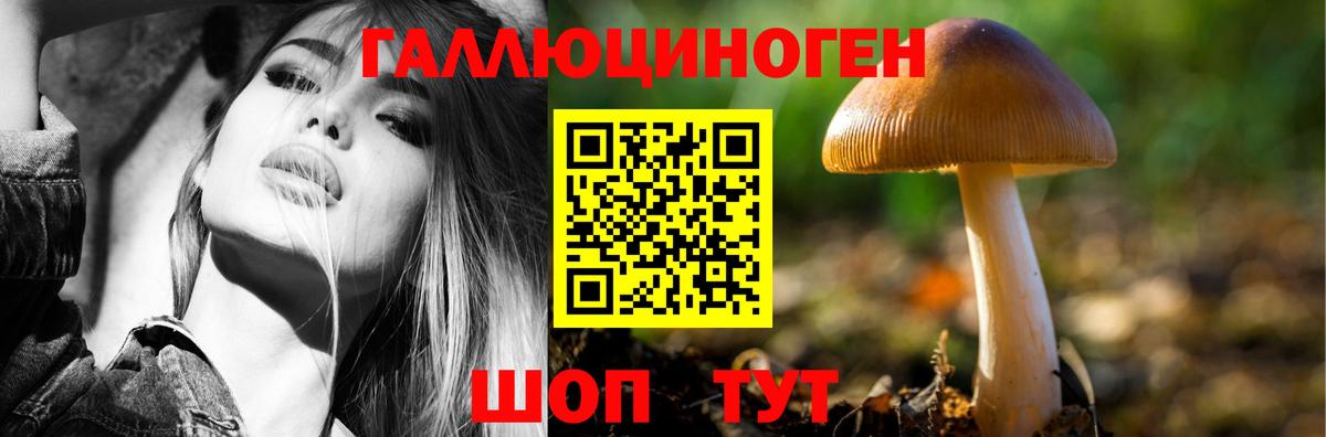 Галлюциногенные грибы Psilocybine cubensis  сколько стоит  Приморско-Ахтарск 